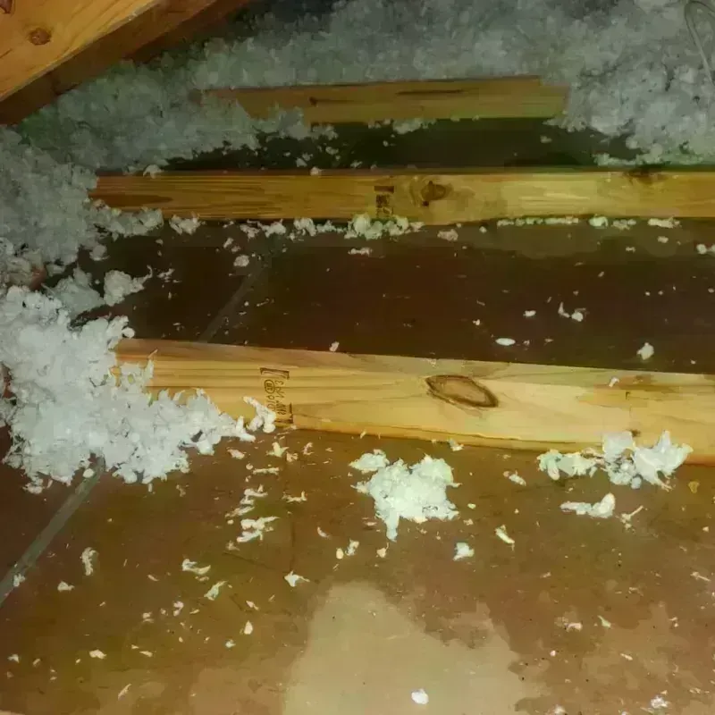 Attic Water Damage in Warren County, TN