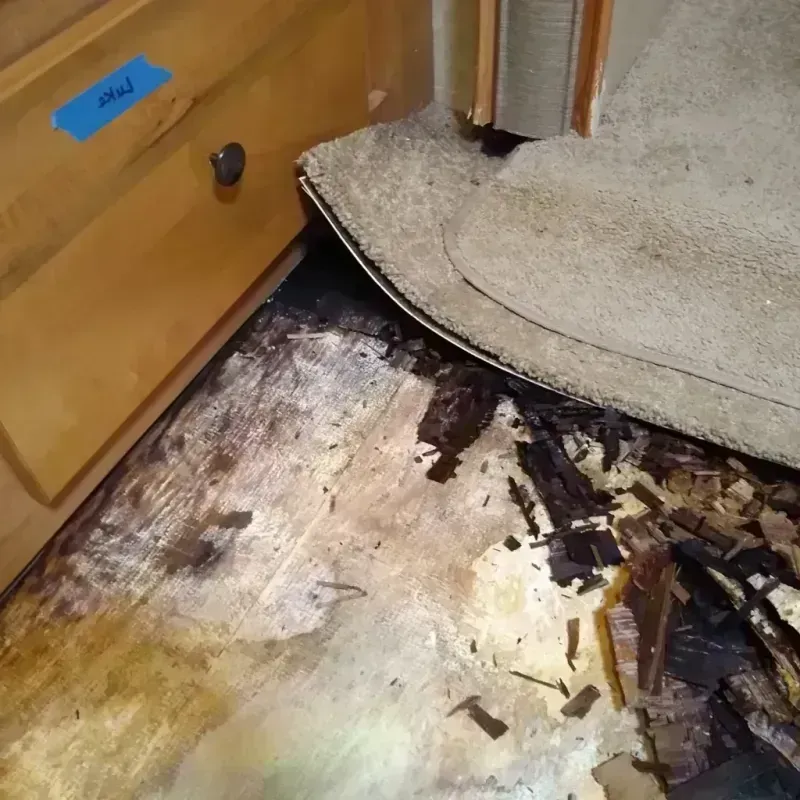 Wood Floor Water Damage in Warren County, TN